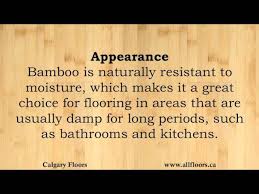 natural vs carbonized bamboo flooring