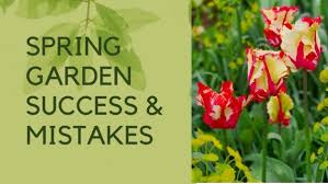 Spring Gardening Questions
