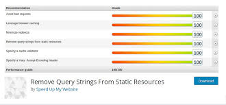 how to remove query strings from static