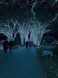 garden lights holiday nights at the