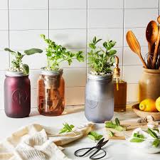 14 Easy Indoor Herb Garden Kits Plus Expert Tips For Growing Success