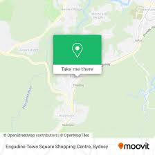 engadine town square ping centre