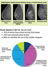 5 Under 40 Foundation New York City Breast Density