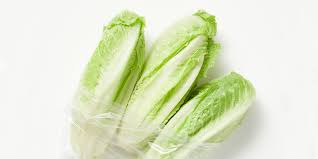 romaine lettuce all you need to know