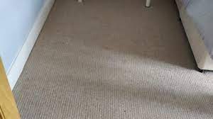 carpet cleaning stillorgan eco carpet