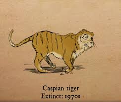 #thelostspeciesofbritain #extinctanimalsintheuk #britainswildlife #pleistocene #pleistocenebritain. 18 Animals That Became Extinct In The Last Century Greenpeace Uk