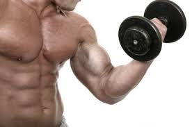 the arm and torso of a man lifting weights to build his bicep muscles