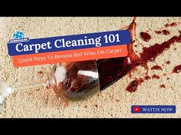 carpet cleaning 101 quick steps to