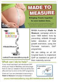 Made To Measure Mama Academy
