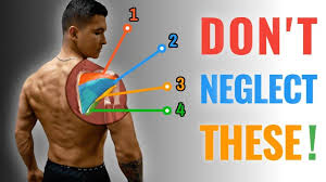 top 3 rotator cuff exercises fix your