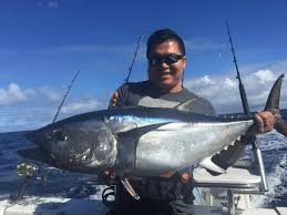 Bluefin Tuna Vs Yellowfin Tuna Difference