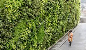 An Architect S Guide To Green Walls
