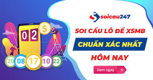 Sx Hau Giang Hom Nay