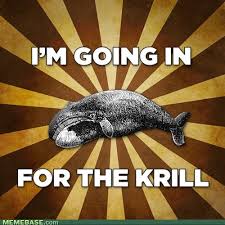 Image result for good time toads, jewish whales on land