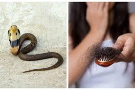 Nah, berikut adalah beberapa cara mudah untuk mencegah ular masuk ke dalam rumah saat musim hujan, seperti yang sudah dirangkum genpi.co dari berbagai sumber Garam Tak Mempan Rambut Rontok Pun Jadi Ternyata Hal Sepele Ini Bisa Mencegah Ular Masuk Ke Rumah Salah Satunya Rambut Manusia Semua Halaman Suar