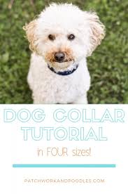 dog collar in 4 sizes a tutorial