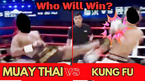 muay thai vs chinese kung fu knockout
