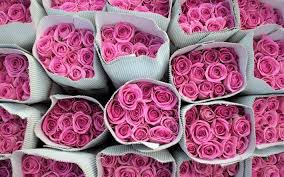 Composto da garofani, i fiori del coraggio, gerbere rosa, i fiori della. Scarica Sfondi Rosa Rose Mazzi Di Rose Fiori Rosa Rose Besthqwallpapers Com Mazzo Di Rose Fiori Rosa Bouquet Di Rose