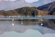 Image result for ‫دریاچه بختگان و ظشت‬‎