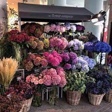 the flower company munich florist on