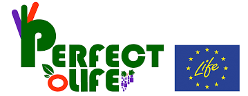 Complete and correct in every way, of the best possible type or without fault: Perfect Life
