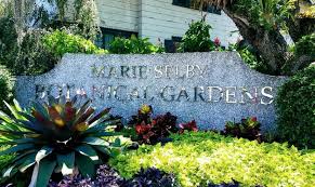 Visit Marie Selby Gardens In Florida To