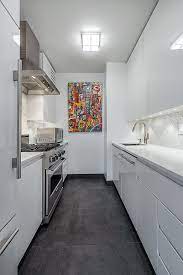 small galley kitchen in nyc