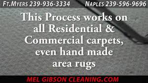 carpet steam cleaning fort myers