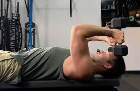 dumbbell triceps workouts for muscular