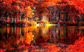 Осень картинки красивые