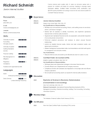 auditor resume: sample & guide (20+