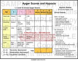 Apgar Score Chart Related Keywords Suggestions Apgar