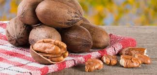 health benefits of pecans skin and