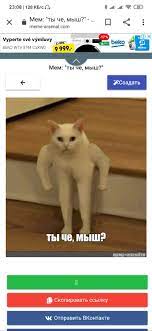 The biggest subreddit dedicated to providing you with the meme templates you're looking for. Create Meme The Cat Meme Meme White Cat With Hands Meme Cat So Of Blet Pictures Meme Arsenal Com