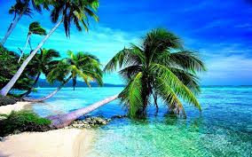 Free download Tropical Beach Desktop ...