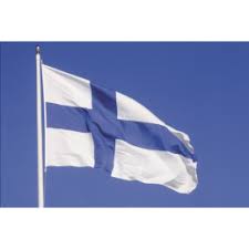 Suomen lippu 100 x 163 cm