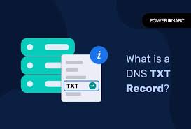what is a dns txt record txt records