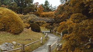 golden gate park anese tea garden