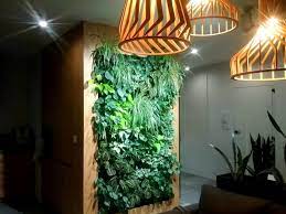Вертикальный сад: зелёная стена из растений в интерьере своими руками,  искусственные и живые растения для зелёной стены