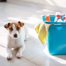 7 best pet safe floor cleaner s