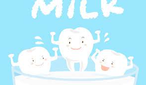 The vitamin k2 content, when it moves calcium to the teeth, actually helps strengthen teeth to the point where they would help to stop cavities from forming. Do Healthy Teeth Really Need Dairy The Center For Pediatric Dental Care And Orthodontics