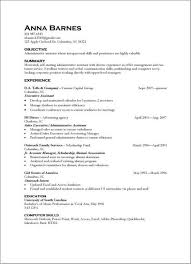 23 Awesome Resume Paragraph Form Example