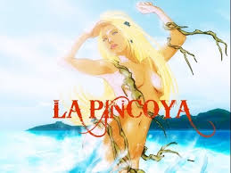 Your question will be posted publicly on the questions & answers page. La Pincoya Youtube
