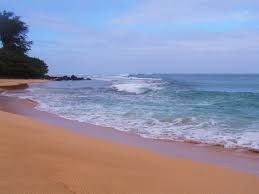 Image result for a beach