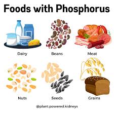 low phosphorus foods plant powered