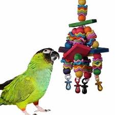 whole bird toy parts
