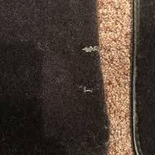 auto custom carpets 11 reviews 1429