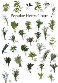 Herb Chart Medicinal Herbs Herbs For Health Herbs List