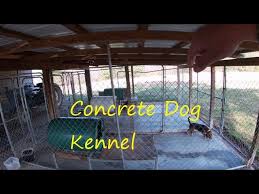 fencing in the dog kennel and building