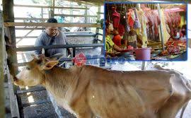 Daging sapi kaya akan nilai gizi di dalamnya tak ayal harga nya pun mahal. Rezeki Ramadan